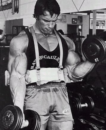 arnold schwarzenegger workout video. Arnold Schwarzenegger